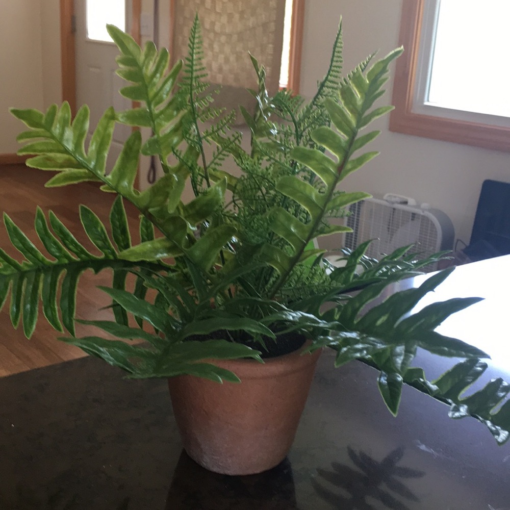 Artificial plant
